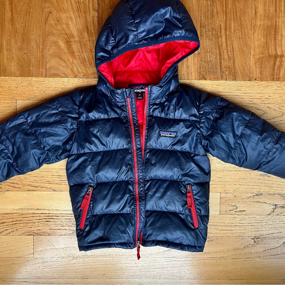 Patagonia Hi-Loft Down Sweater Hoody